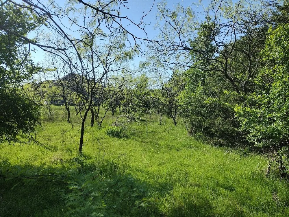 4007 Vista Oak Royse City, TX 75189