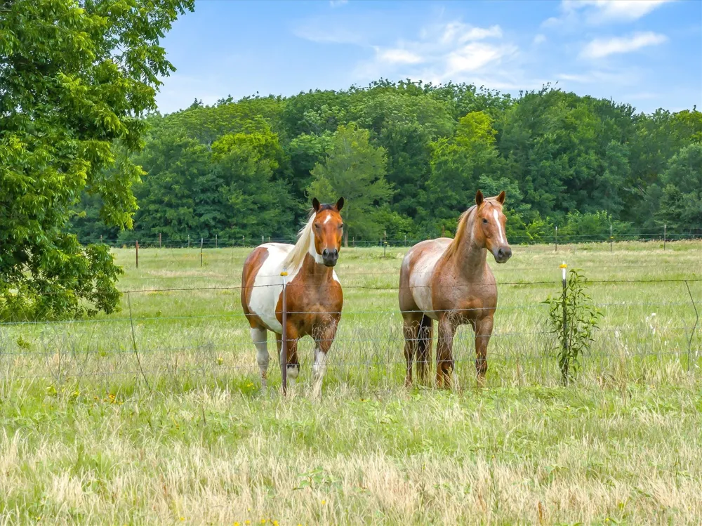 FM 2737 Lone Oak, TX 75453