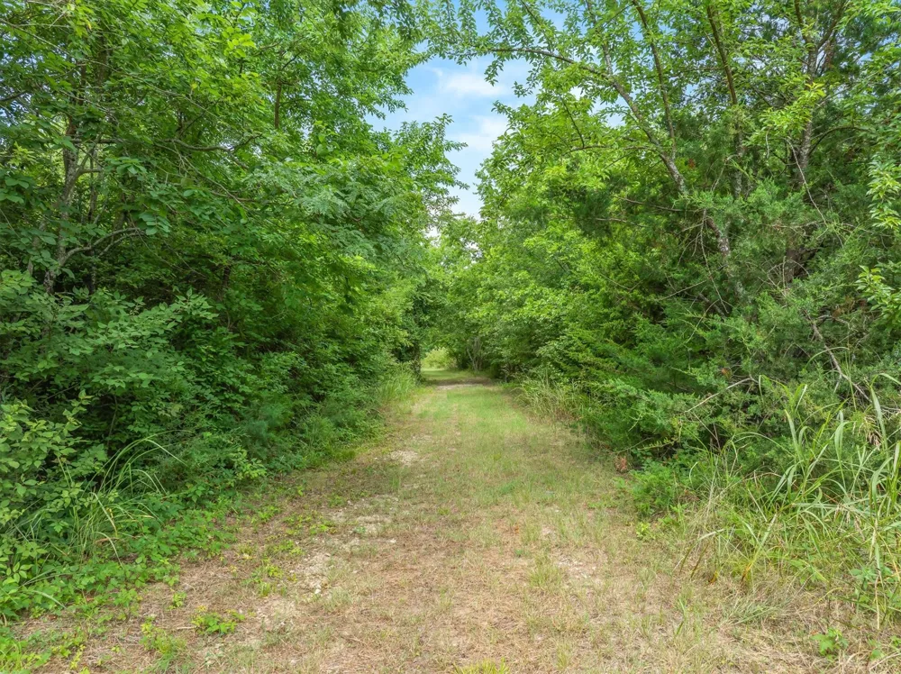 FM 2737 Lone Oak, TX 75453