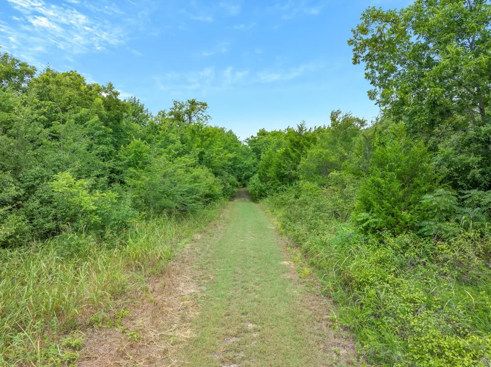 FM 2737 Lone Oak, TX 75453