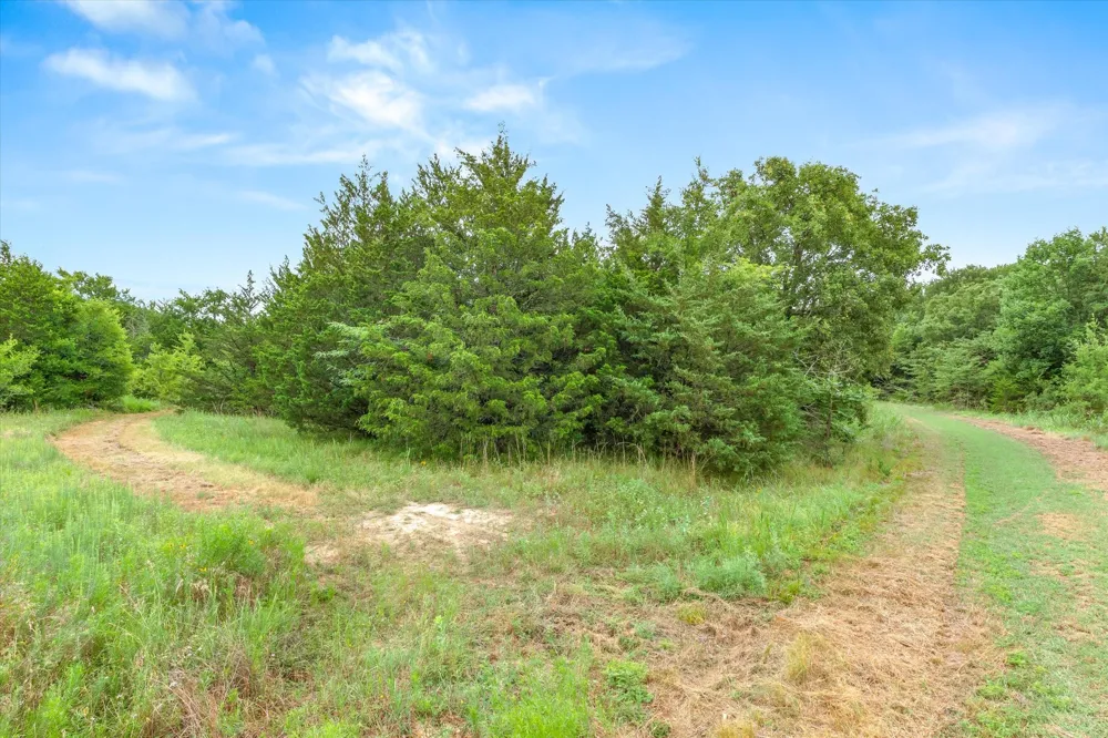 FM 2737 Lone Oak, TX 75453