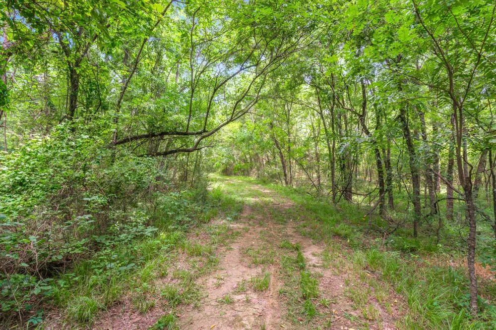 FM 2737 Lone Oak, TX 75453