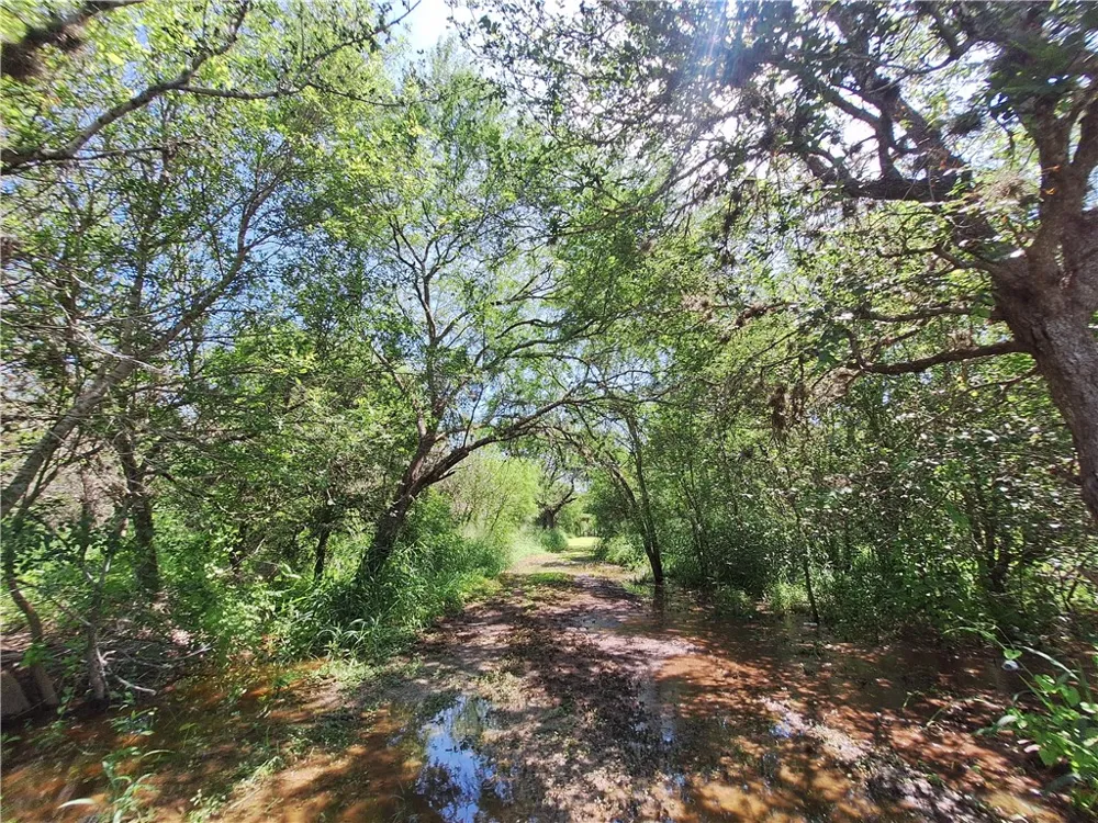 County Rd 73 River Robstown, TX 78380