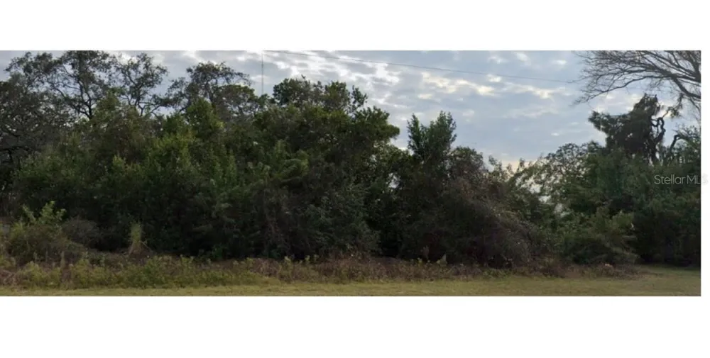 LECANTO STREET Holiday, FL 34691