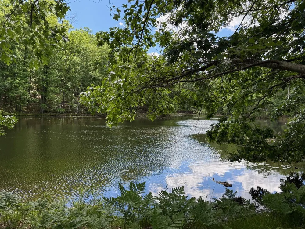 8980 Canyon Springs Court Canadian Lakes, MI 49346