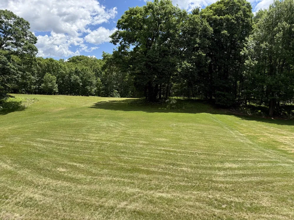 8980 Canyon Springs Court Canadian Lakes, MI 49346