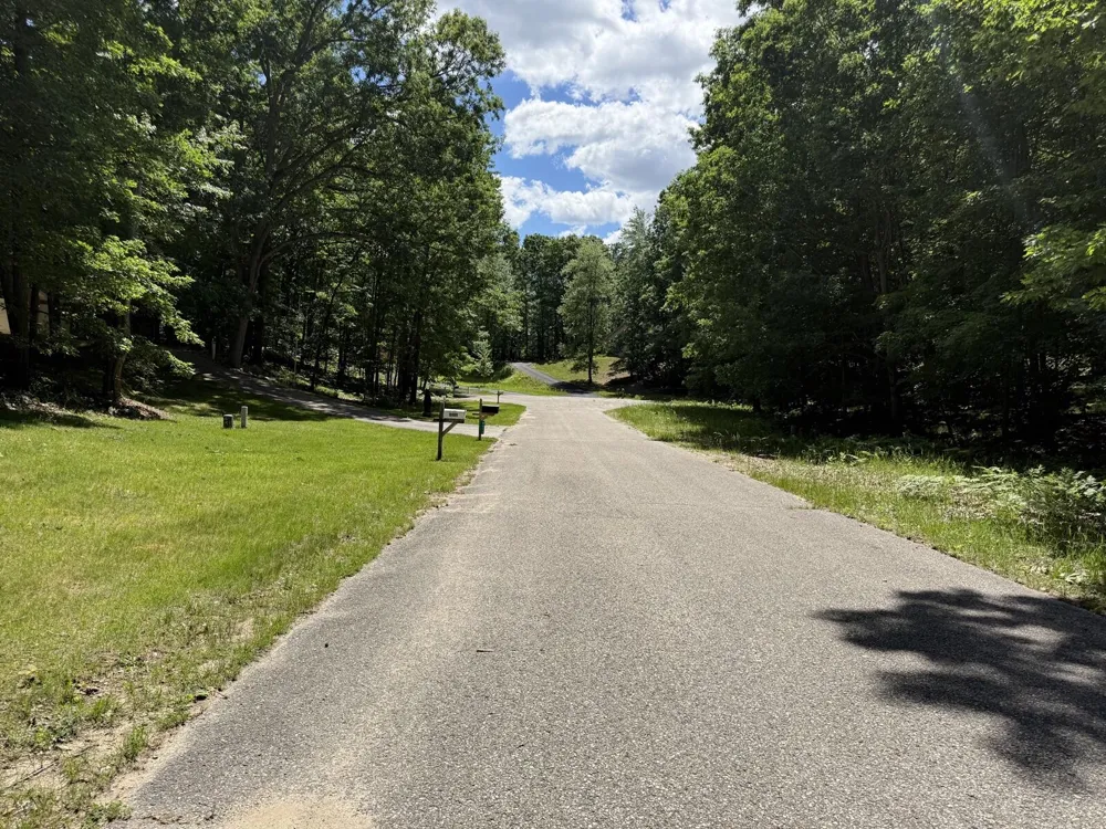 8980 Canyon Springs Court Canadian Lakes, MI 49346