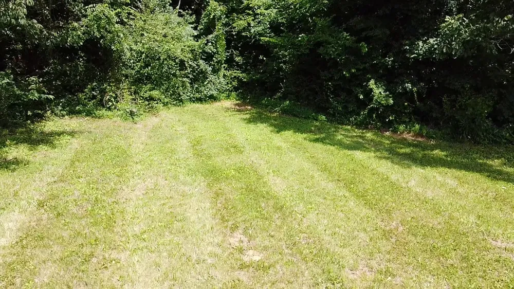 108 Sims Ave Wartrace, TN 37183