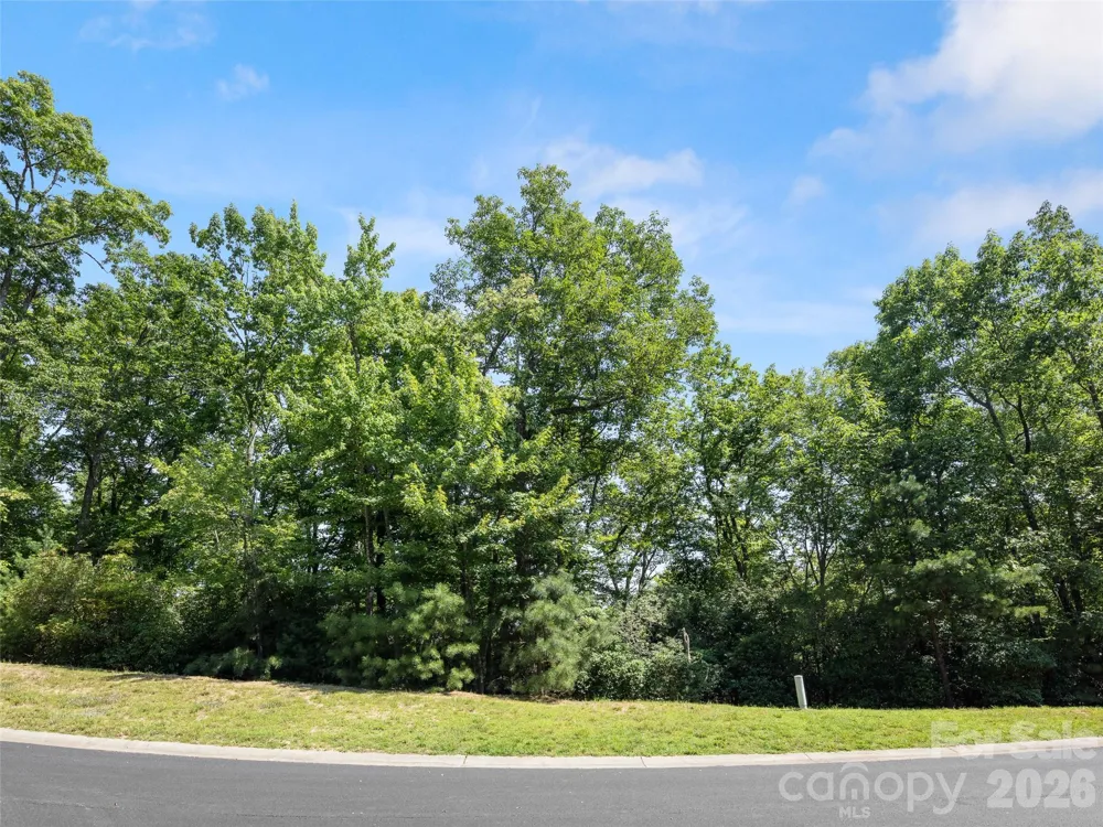 99999 Shining Rock Path #69 Horse Shoe, NC 28742