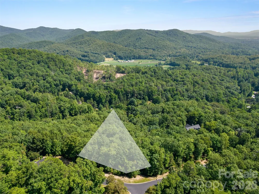 99999 Shining Rock Path #69 Horse Shoe, NC 28742