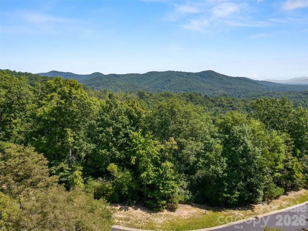 99999 Shining Rock Path #69 Horse Shoe, NC 28742