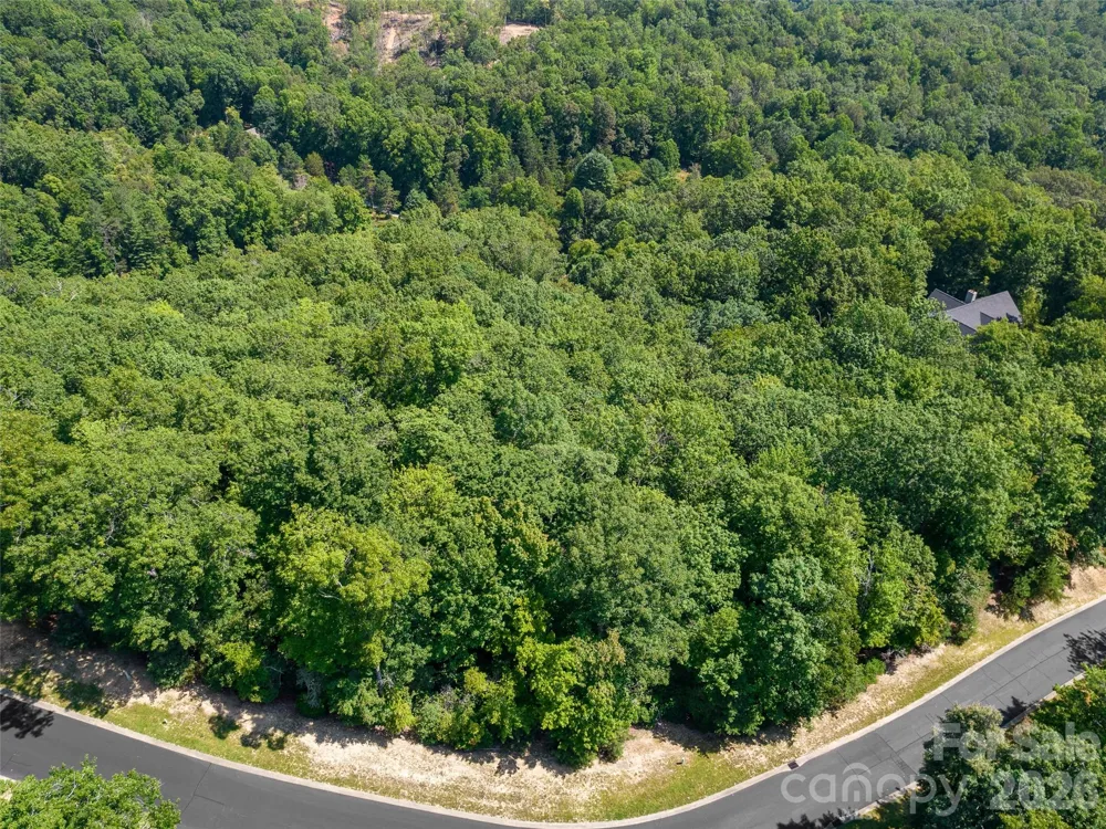 99999 Shining Rock Path #69 Horse Shoe, NC 28742