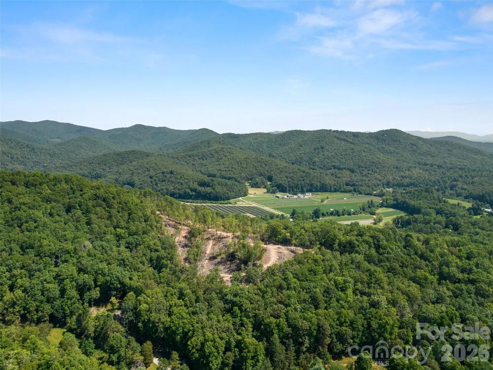 99999 Shining Rock Path #69 Horse Shoe, NC 28742