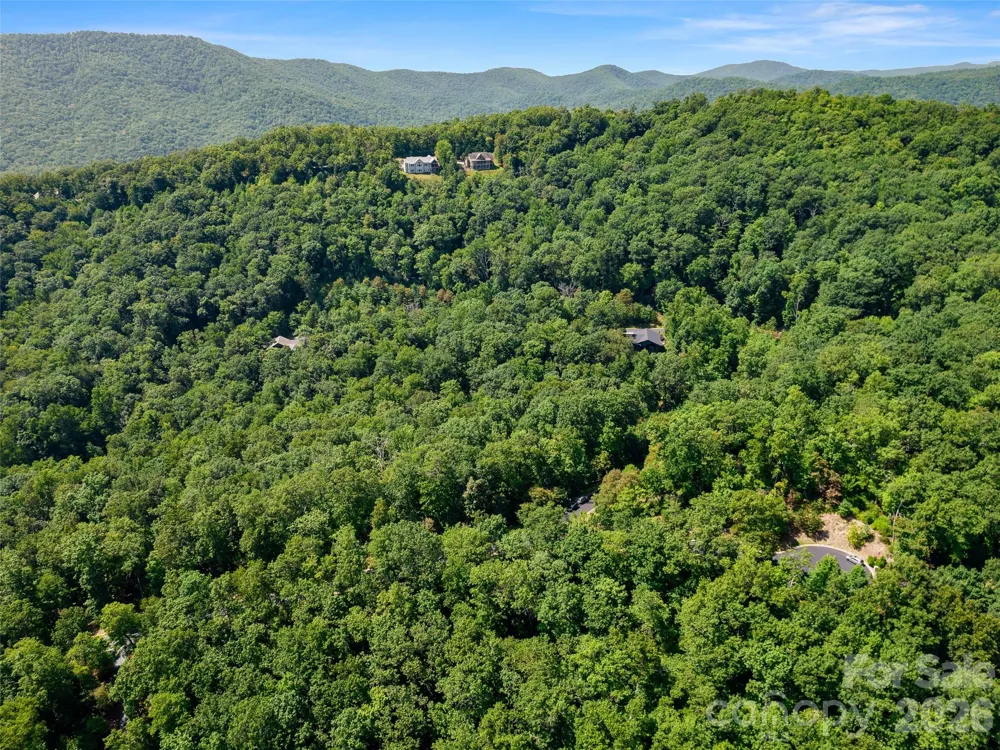 99999 Shining Rock Path #69 Horse Shoe, NC 28742