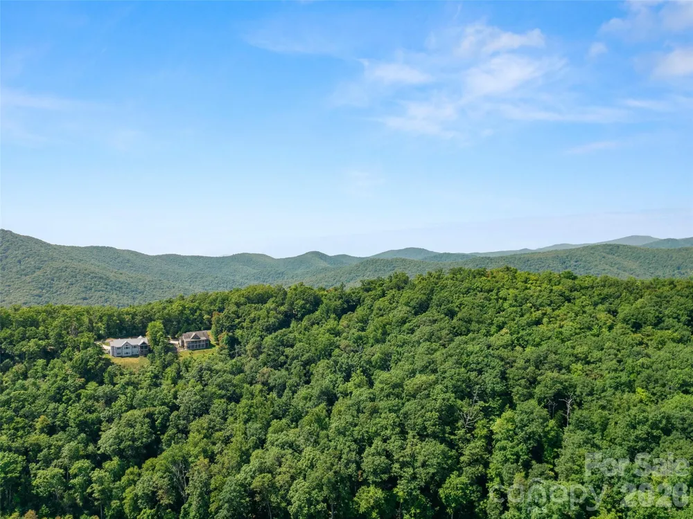 99999 Shining Rock Path #69 Horse Shoe, NC 28742