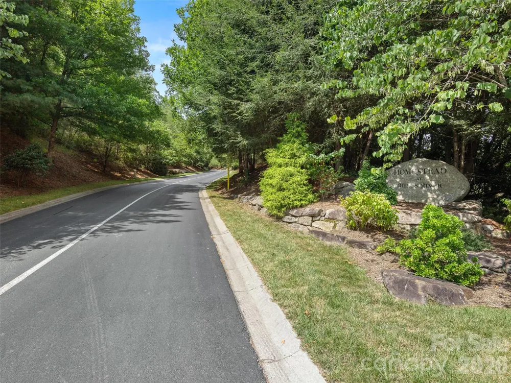 99999 Shining Rock Path #69 Horse Shoe, NC 28742