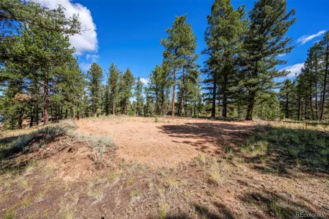 210 Donzi Trail