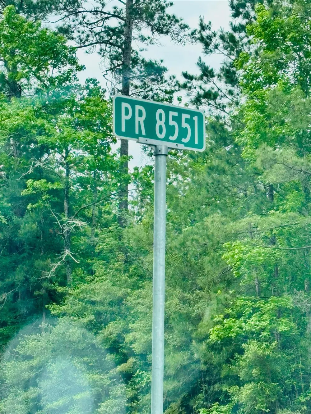 750 Private Road 8551 Broaddus, TX 75929