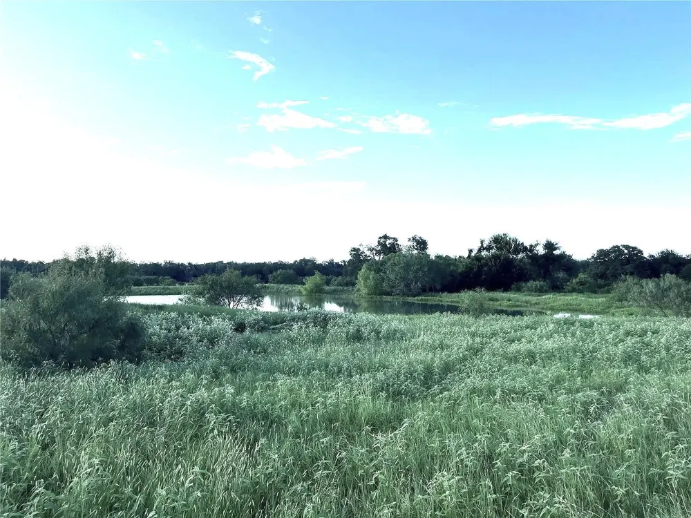 1018 Red Town Rd Elgin, TX 78621