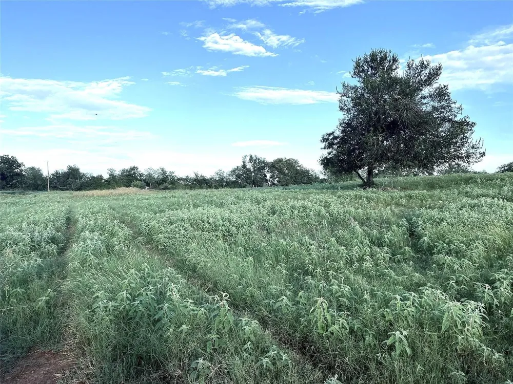 1018 Red Town Rd Elgin, TX 78621