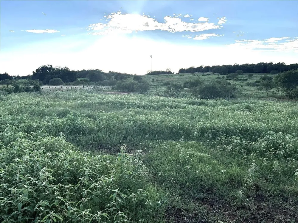 1018 Red Town Rd Elgin, TX 78621