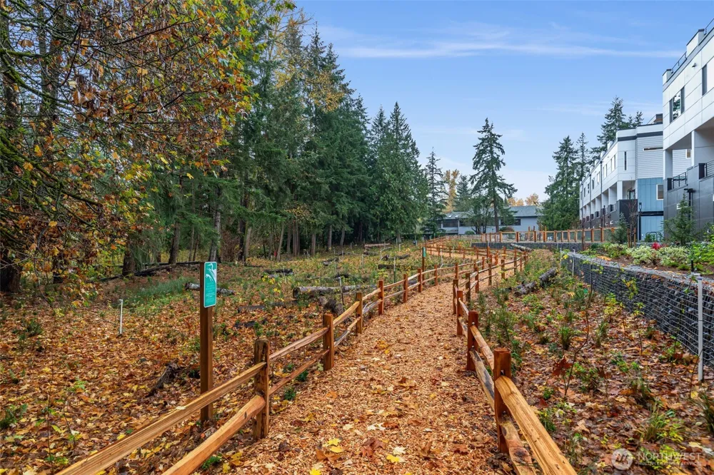 1122 129th Court NE Bellevue, WA 98005