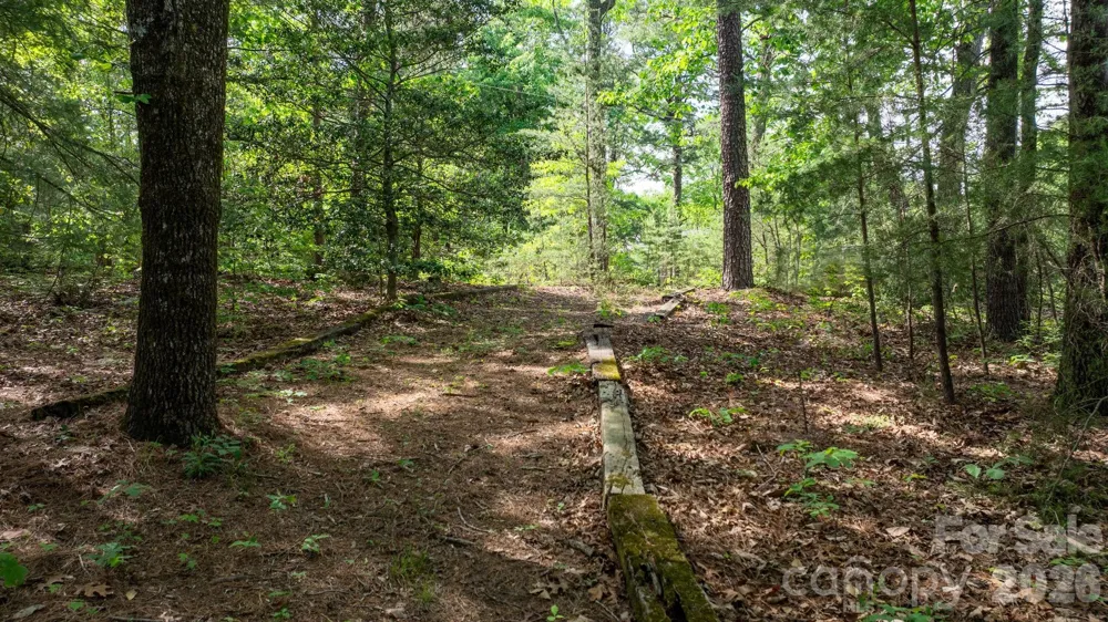 2184 Pine Mountain Drive Connelly Springs, NC 28612