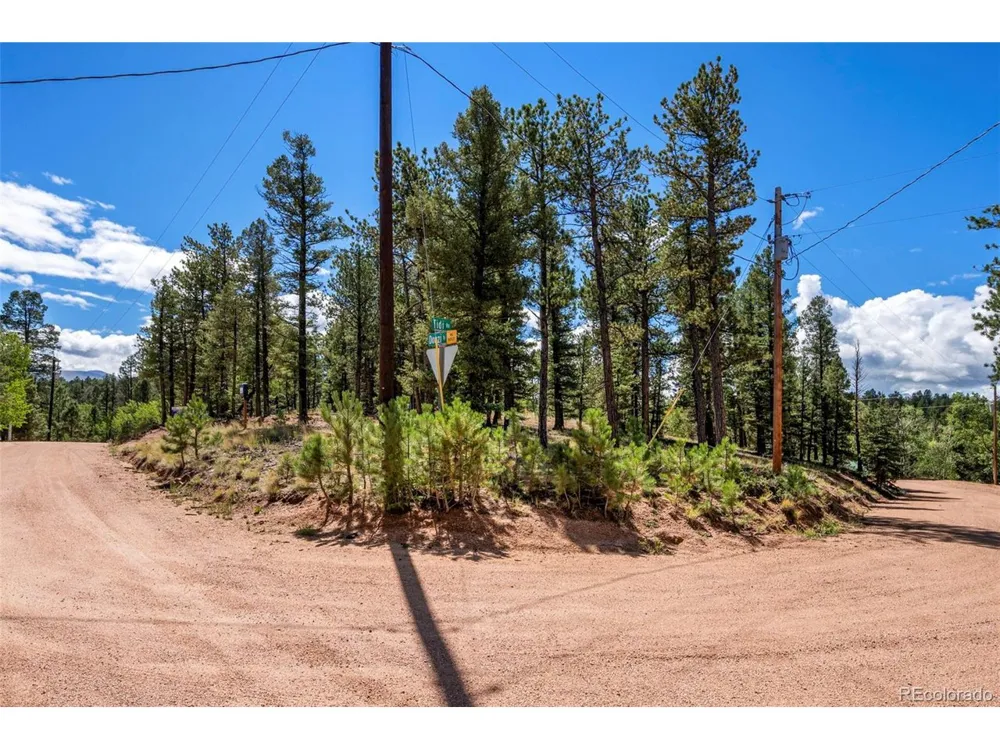 210 Donzi Trail Florissant, CO 80816