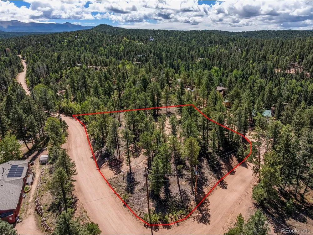 210 Donzi Trail Florissant, CO 80816