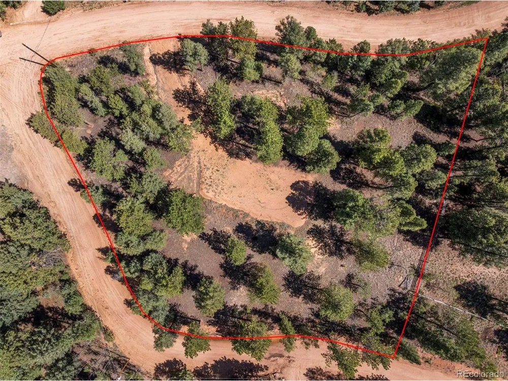 210 Donzi Trail Florissant, CO 80816