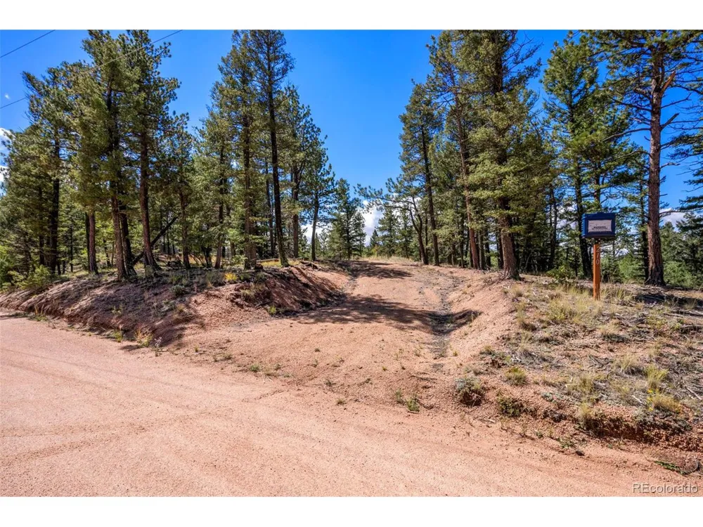210 Donzi Trail Florissant, CO 80816