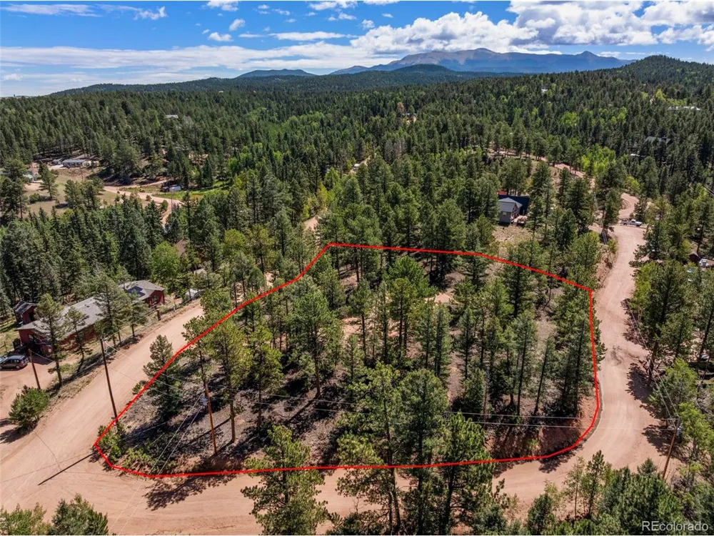 210 Donzi Trail Florissant, CO 80816