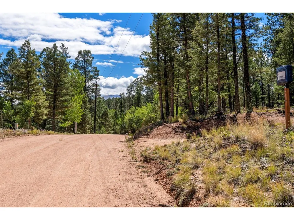 210 Donzi Trail Florissant, CO 80816