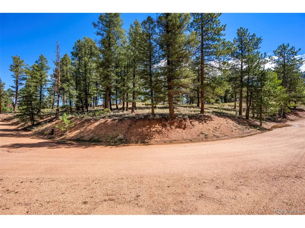 210 Donzi Trail Florissant, CO 80816