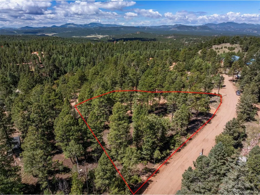210 Donzi Trail Florissant, CO 80816