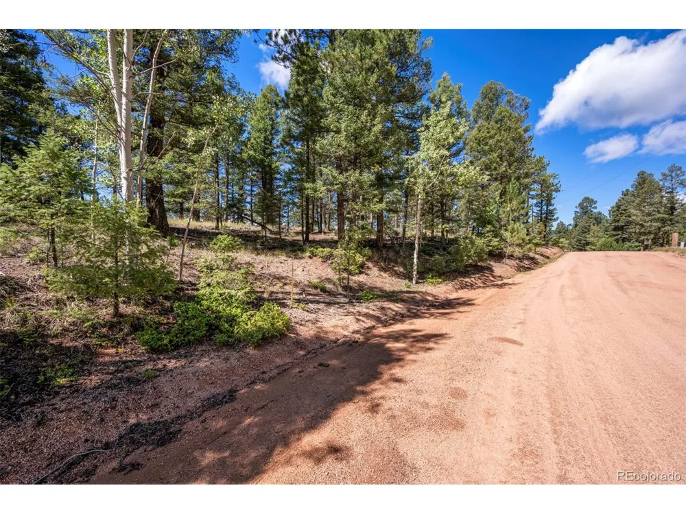 210 Donzi Trail Florissant, CO 80816