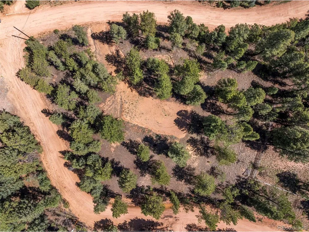 210 Donzi Trail Florissant, CO 80816