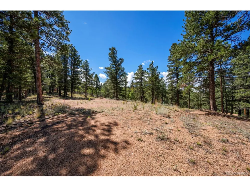 210 Donzi Trail Florissant, CO 80816