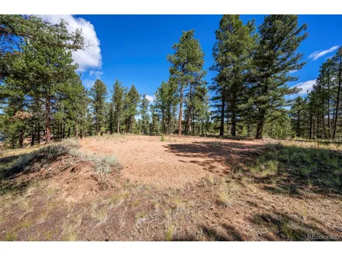 210 Donzi Trail