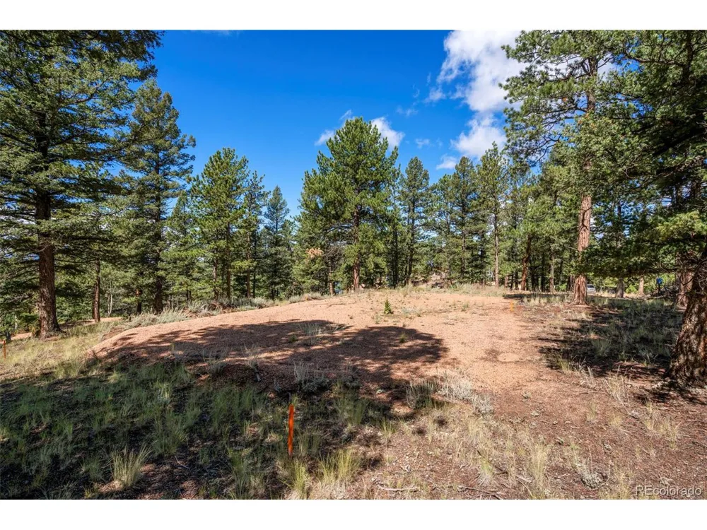 210 Donzi Trail Florissant, CO 80816