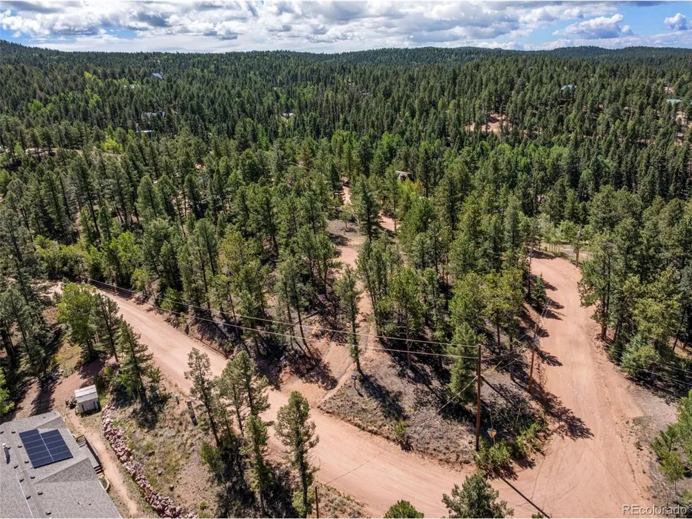 210 Donzi Trail Florissant, CO 80816