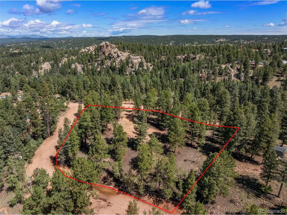 210 Donzi Trail Florissant, CO 80816