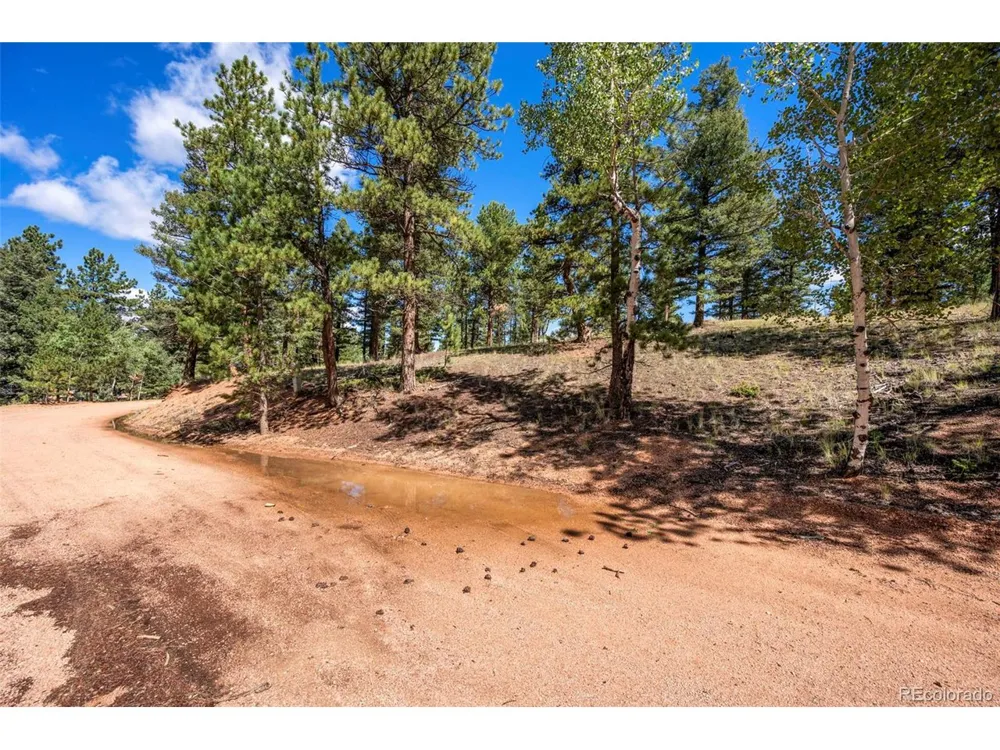 210 Donzi Trail Florissant, CO 80816
