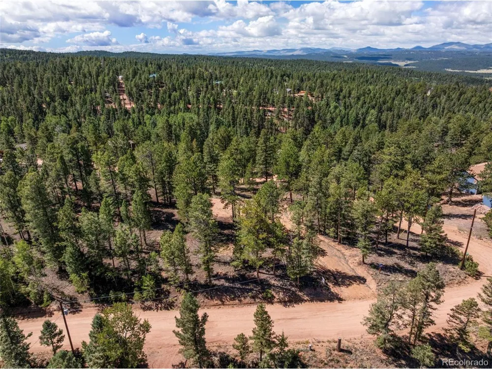 210 Donzi Trail Florissant, CO 80816