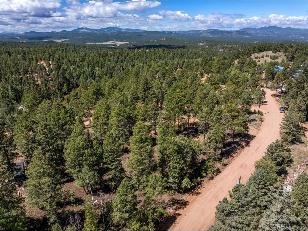 210 Donzi Trail Florissant, CO 80816