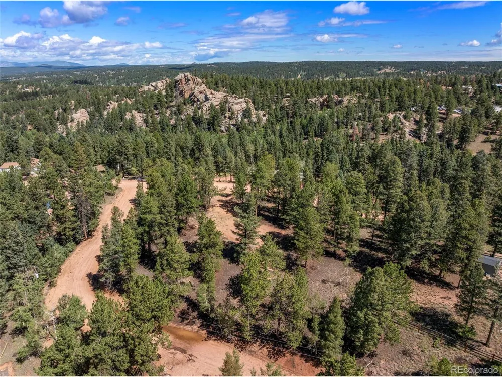 210 Donzi Trail Florissant, CO 80816