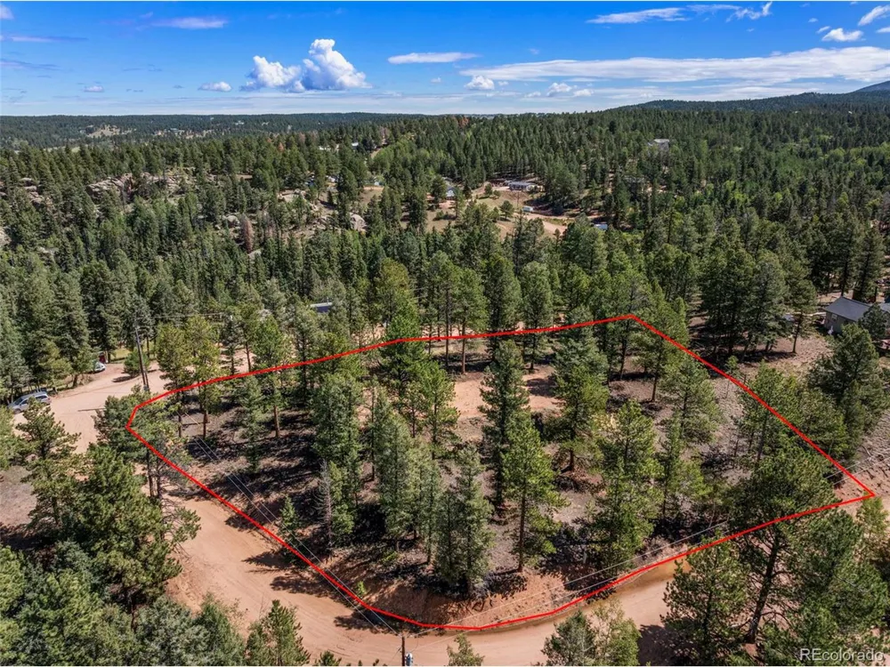 210 Donzi Trail Florissant, CO 80816