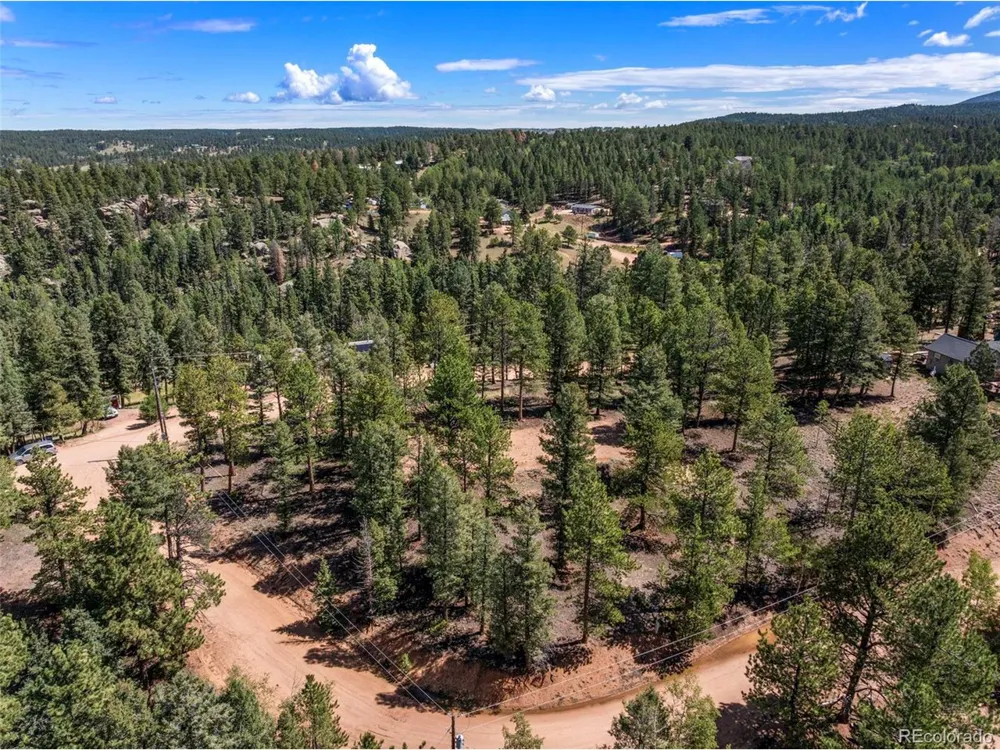 210 Donzi Trail Florissant, CO 80816