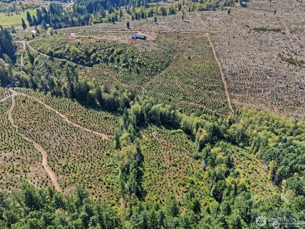 0 Lot 1-4 Macomber Road W Chehalis, WA 98532