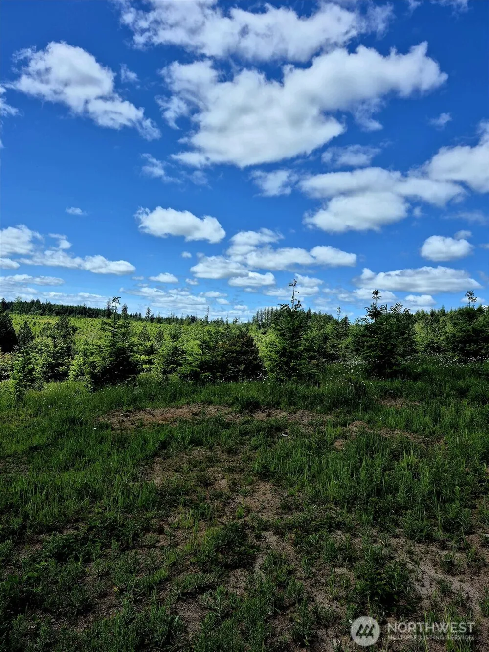 0 Lot 1-4 Macomber Road W Chehalis, WA 98532